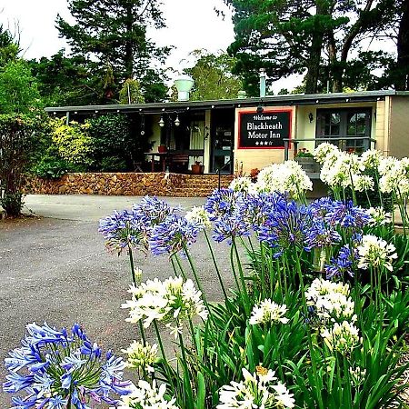 Blackheath Motor Inn ภายนอก รูปภาพ