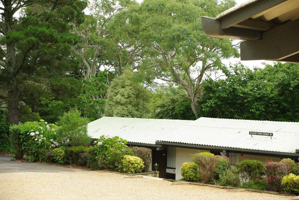 Blackheath Motor Inn ภายนอก รูปภาพ